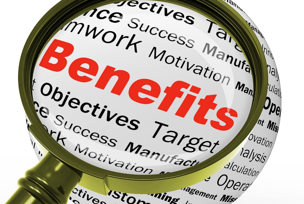 Access to Government Benefits and Schemes